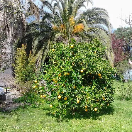 Michou Maison d'hôtes *